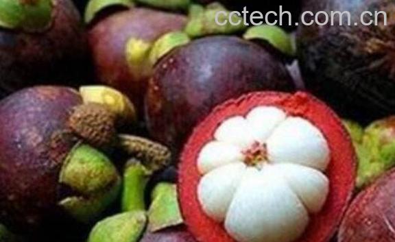 山竹壳泡水喝的功效与作用 山竹壳煮水喝的功效-0