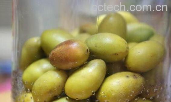 冰糖橄榄怎么腌制方法 -1