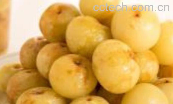 甜橄榄怎么腌制方法-0