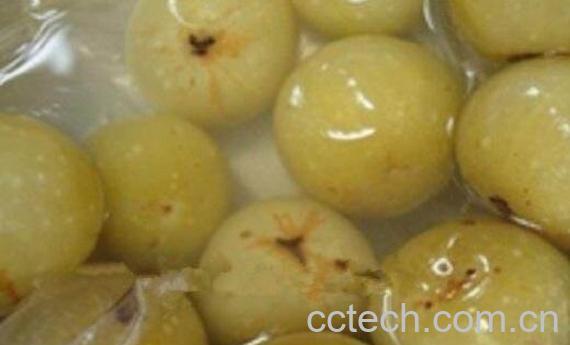 蜂蜜橄榄的腌制方法 吃蜂蜜橄榄的好处-0