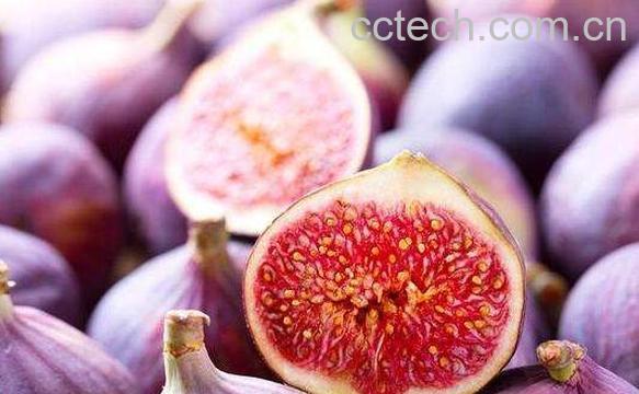 无花果怎么保存-1