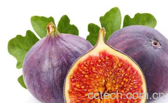 无花果可以直接吃皮吗 无花果皮怎么吃-0