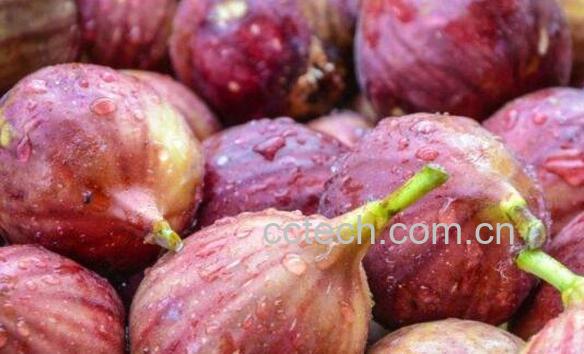 无花果可以直接吃皮吗 无花果皮怎么吃-1