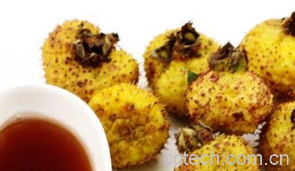 刺梨酵素的功效和作用-1