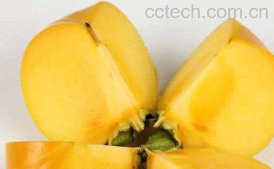 懒柿子如何做 懒柿子的制作方法窍门-0