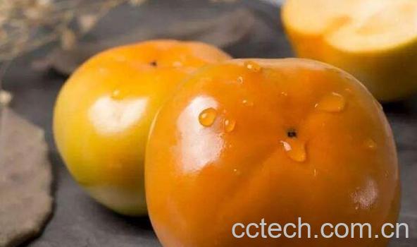 柿子冰糖泡酒的功效与作用-1