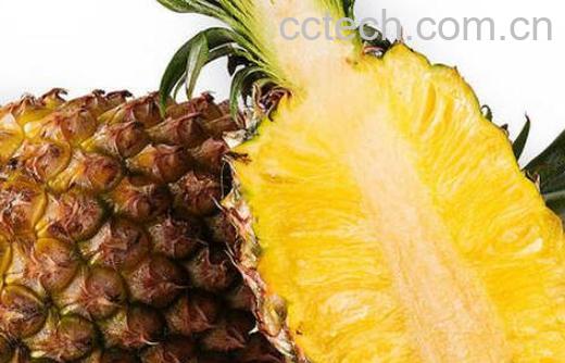 金菠萝的功效与作用及禁忌-0