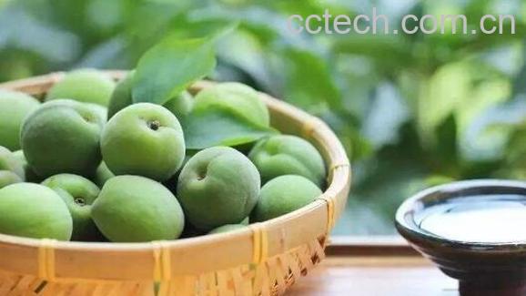 青梅醋的功效与作用及副作用-1