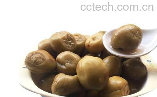 盐啧青梅的功效与作用-0