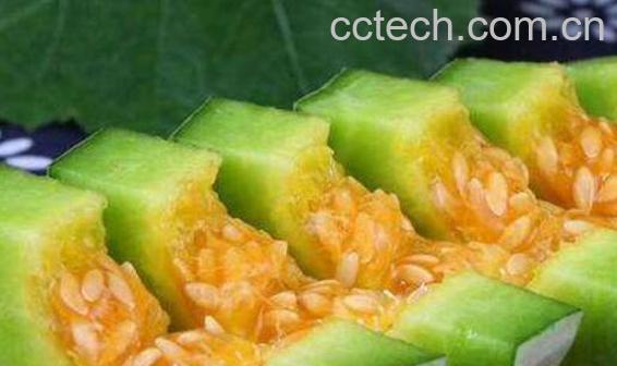 羊角脆的功效与作用及禁忌-0