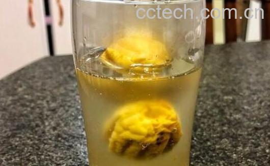 醋泡青梅的功效与作用-1