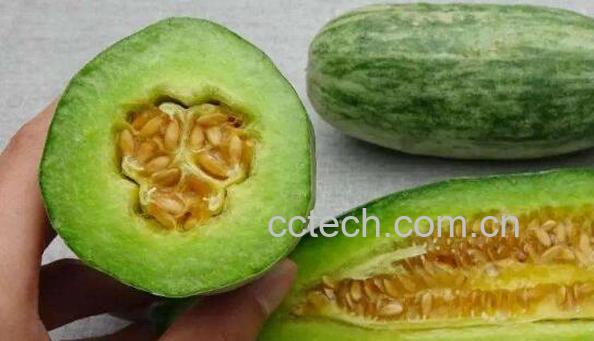 羊角蜜甜瓜怎么吃 羊角蜜甜瓜的食用方法-1