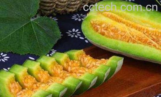 羊角蜜甜瓜怎么吃 羊角蜜甜瓜的食用方法-0