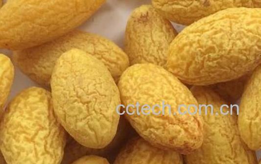 橄榄果干怎么做-0