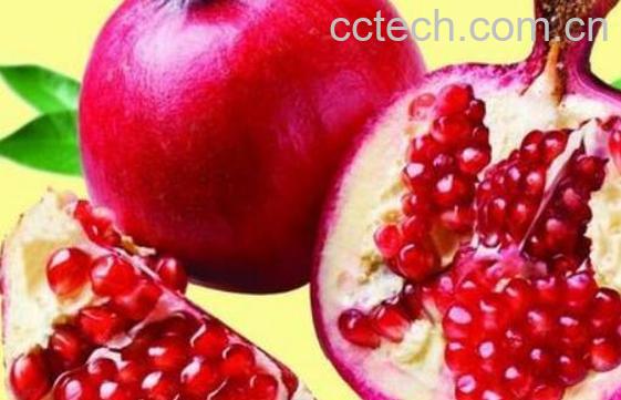 石榴籽的功效与作用 吃石榴籽的好处-1