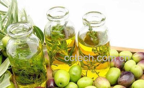 橄榄油的美容方法大全介绍-1