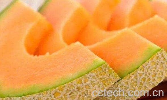 红心洋香瓜功效与作用-1