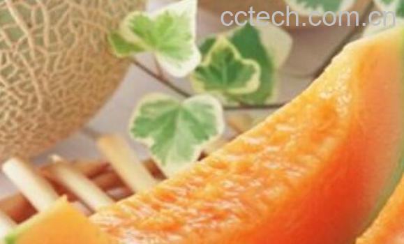 红心洋香瓜功效与作用-0