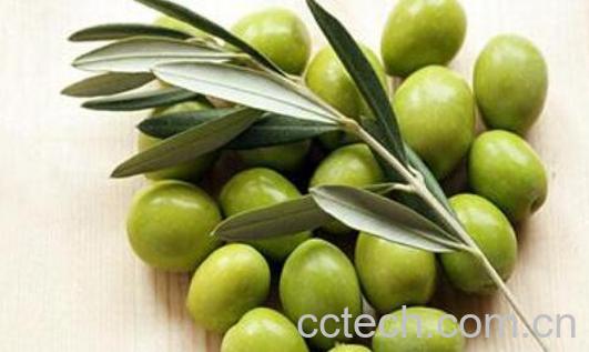 滇橄榄的作用与功效-0