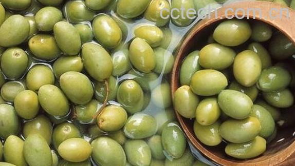 滇橄榄的作用与功效-1