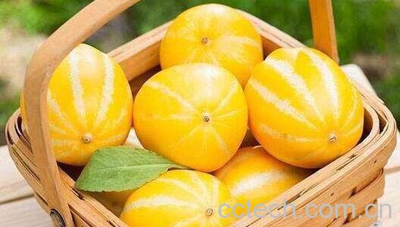 洋香瓜是什么瓜 洋香瓜的功效与作用-1