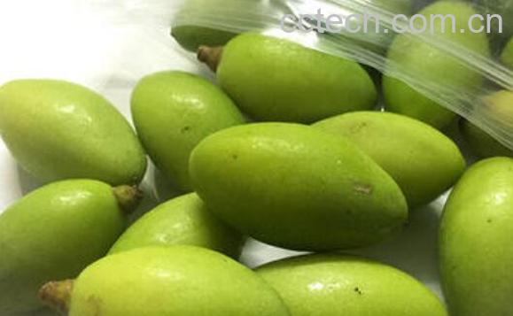 吃青橄榄的功效与作用-0