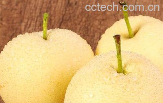 水晶梨和皇冠梨的区别-1