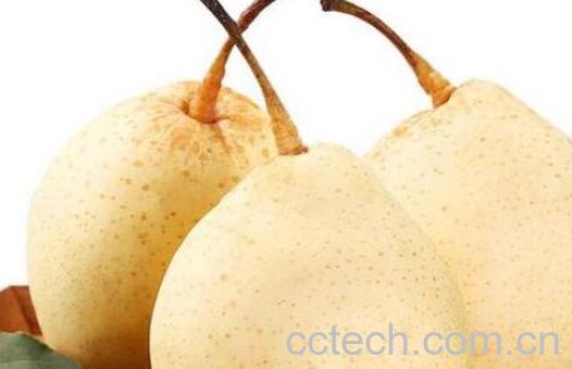水晶梨和皇冠梨的区别-0