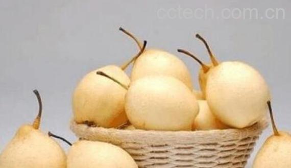 水晶梨的功效与作用 吃水晶梨的好处-1