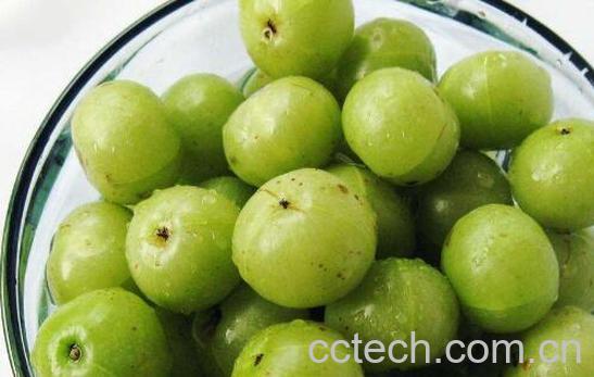 橄榄果的功效与作用 吃橄榄果的好处-1