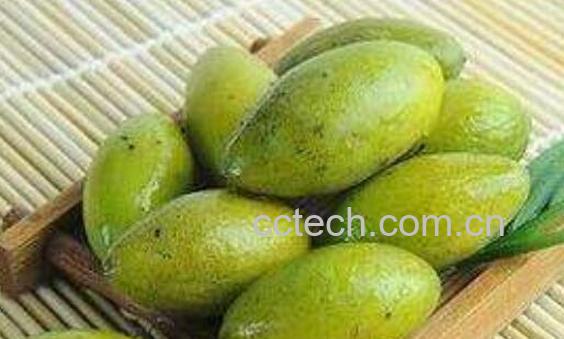 橄榄果的食用方法和食用禁忌-0