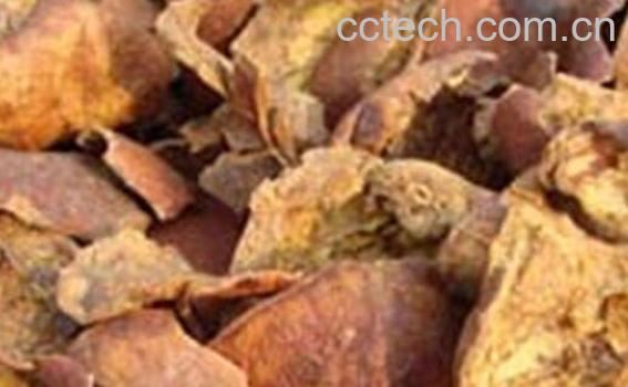 石榴皮的功效与作用及药用价值-1