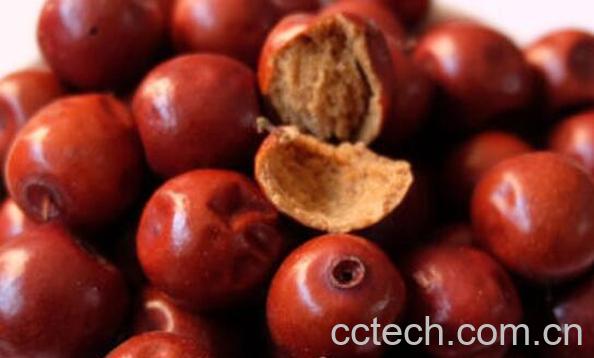 干酸枣泡水喝的功效与作用-1