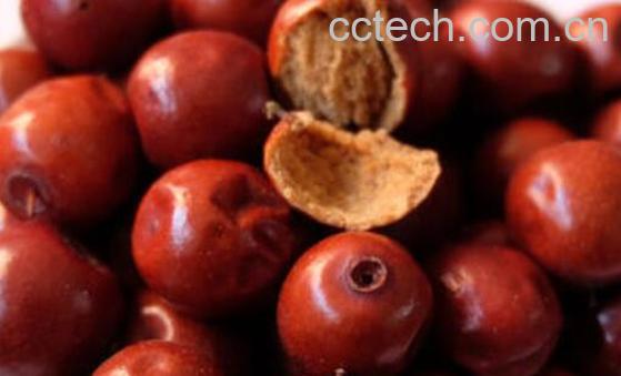 干酸枣泡水喝的功效与作用-0