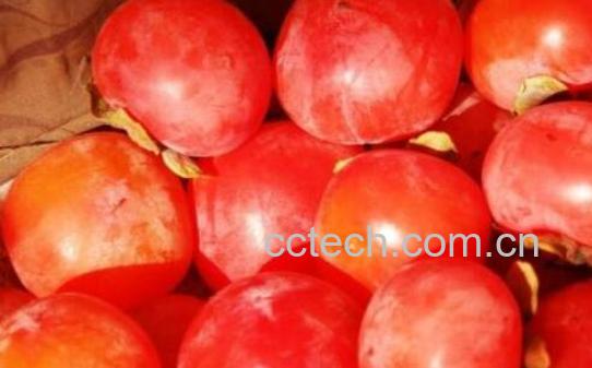 柿子醋的功效与作用 柿子醋的禁忌-1