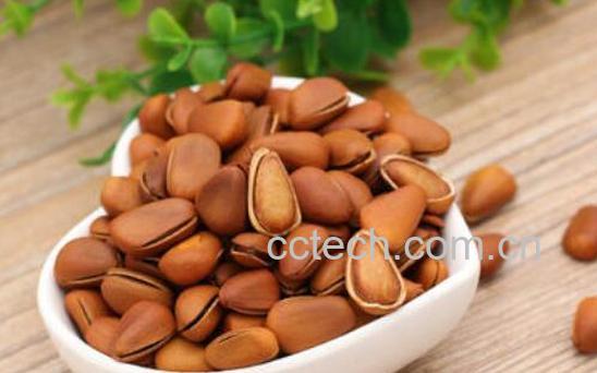 松子生吃与熟吃的区别 松子怎么吃好-0