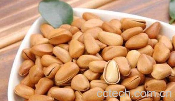 松子生吃与熟吃的区别 松子怎么吃好-1