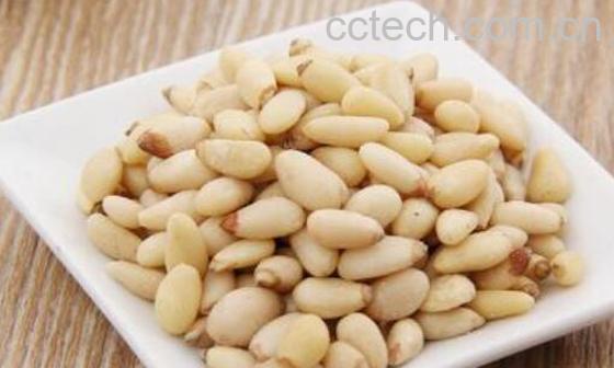 松子仁的功效与作用及禁忌-1