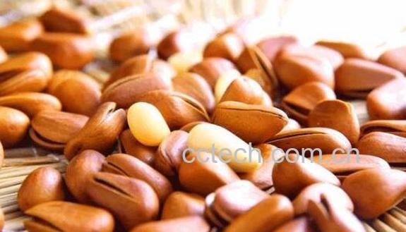 女性吃松子有什么好处-1