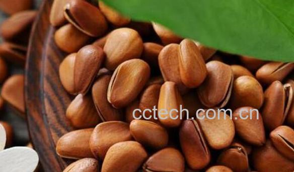 女性吃松子有什么好处-0