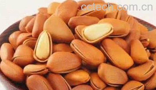 松子的功效与作用 松子的禁忌与副作用-0