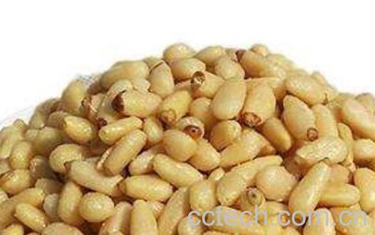 红松籽仁的功效与作用-0