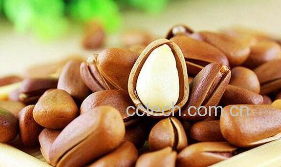 松子的功效与作用 松子的禁忌与副作用-1