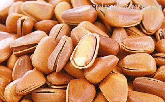 红松籽的功效与作用-1