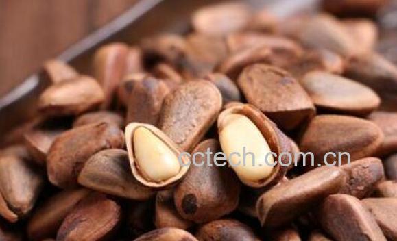 红松籽的功效与作用-0