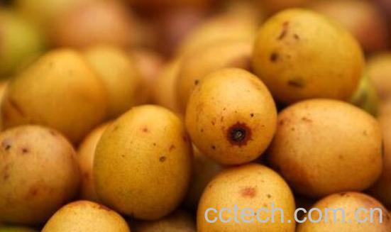 南酸枣的功效与作用-1