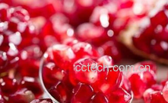 石榴籽有什么用处 吃石榴籽的好处有哪些-1
