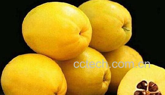 酸木瓜怎么腌制 酸木瓜的腌制方法-0