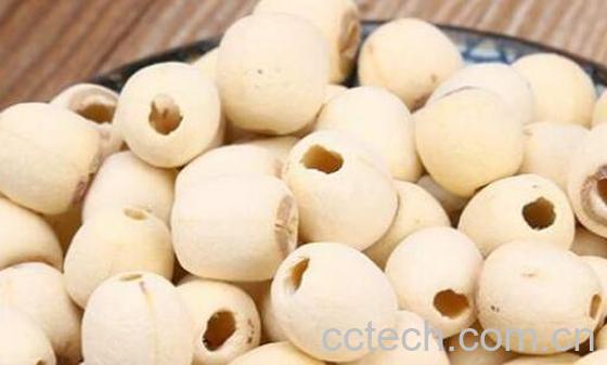 白莲子和莲子有什么区别 吃莲子的好处-1