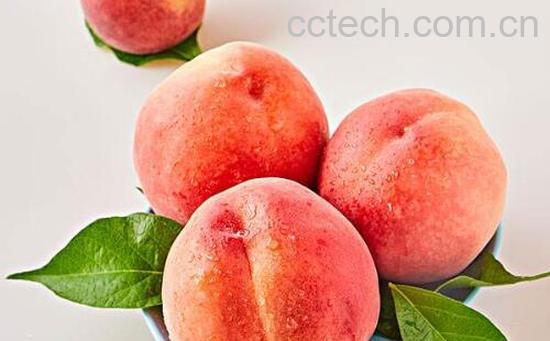桃果是什么 桃果的功效与作用-0